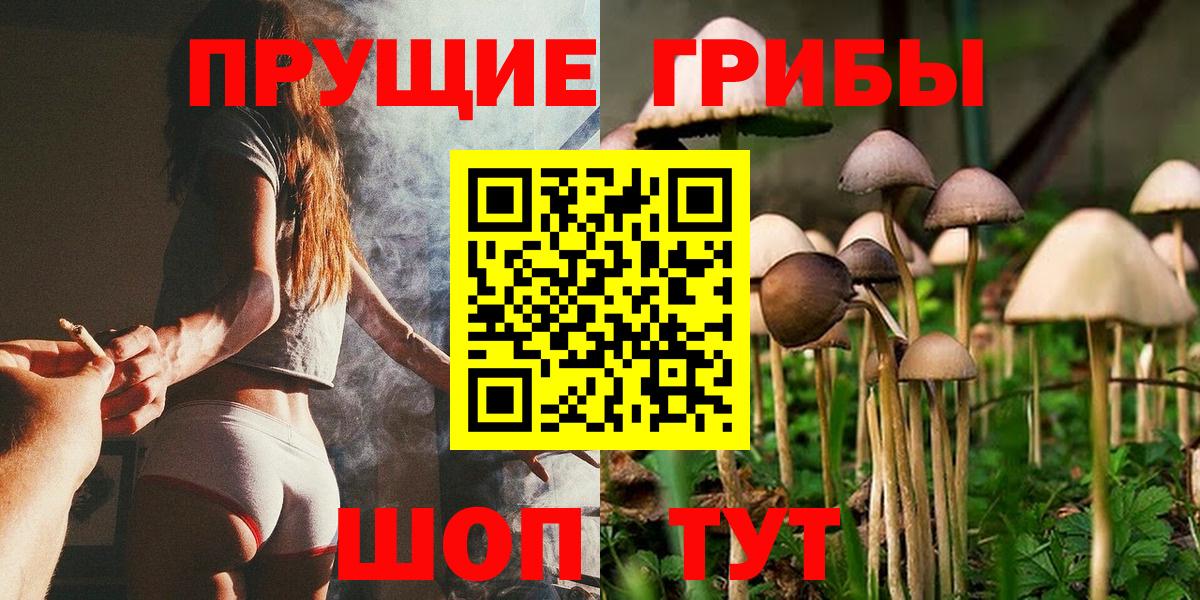 Галлюциногенные грибы прущие грибы  Вход с VPN  Кострома 